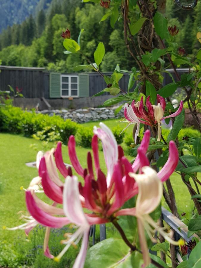 Apartments Schneiterhof - Der Frei-Raum Neustift im Stubaital Buitenkant foto