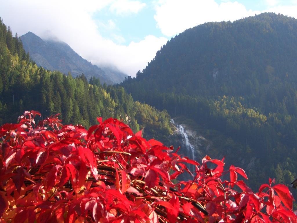 Apartments Schneiterhof - Der Frei-Raum Neustift im Stubaital Buitenkant foto